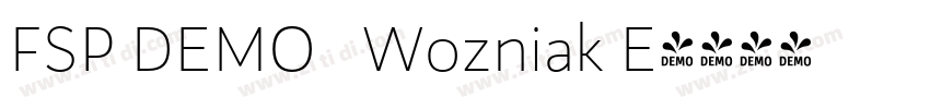 FSP DEMO   Wozniak E字体转换